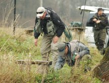 Searching for the lost fly