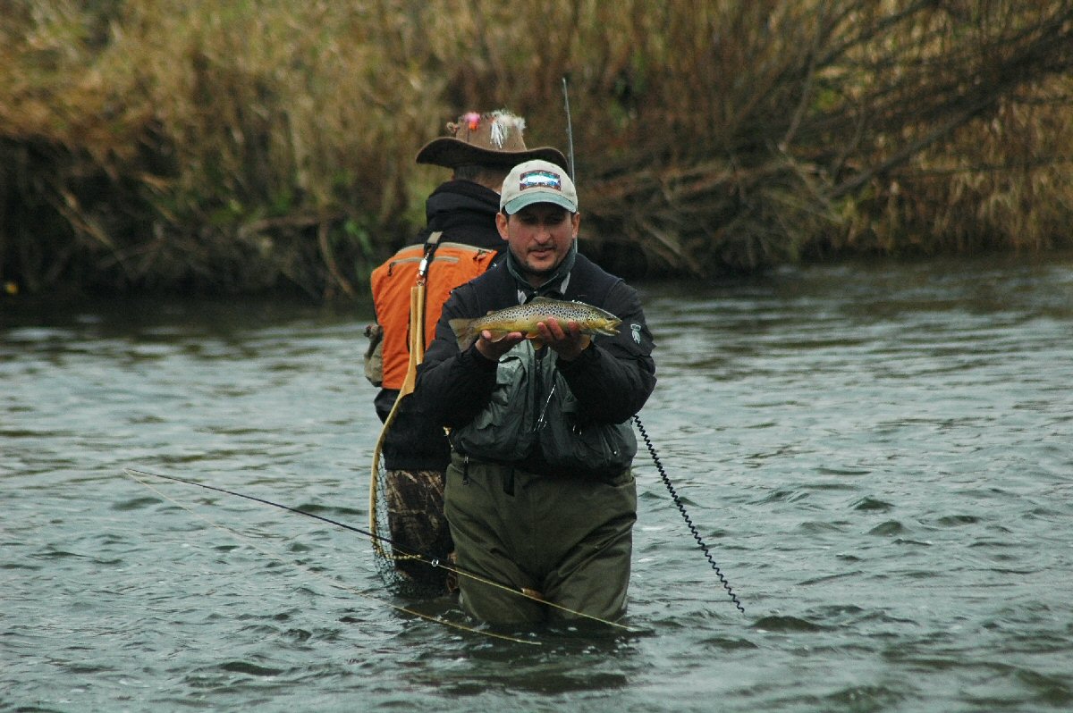 Brown trout caugth in the evening on heavy nymph