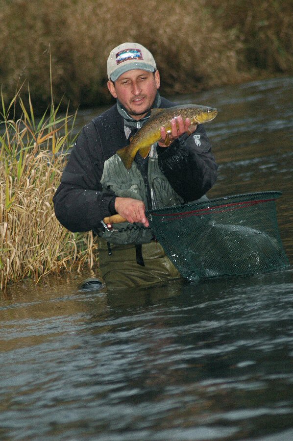 Peter's brown trout