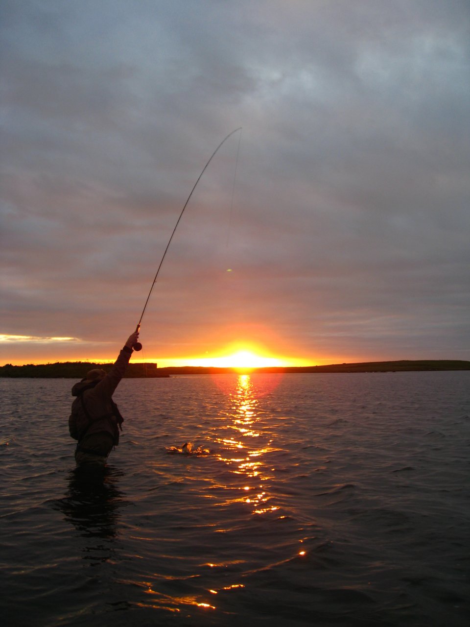 Another beauty lit up by ...