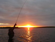 Another beauty lit up by ...