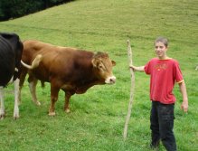 Be aware of the bulls