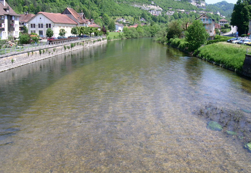 A typical grayling place