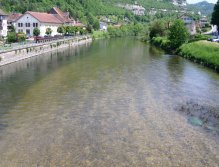 A typical grayling place