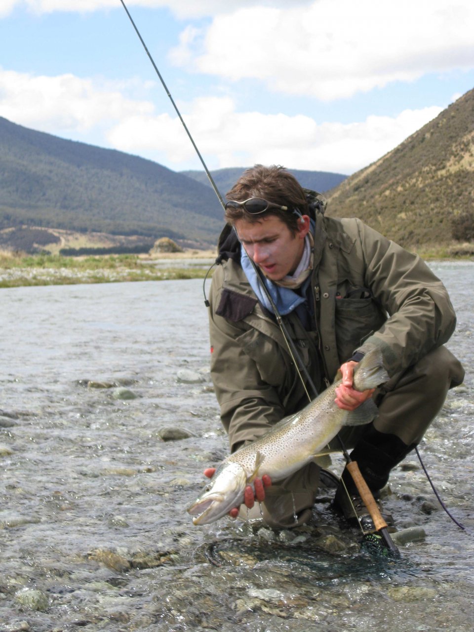 Another beauty about to be released