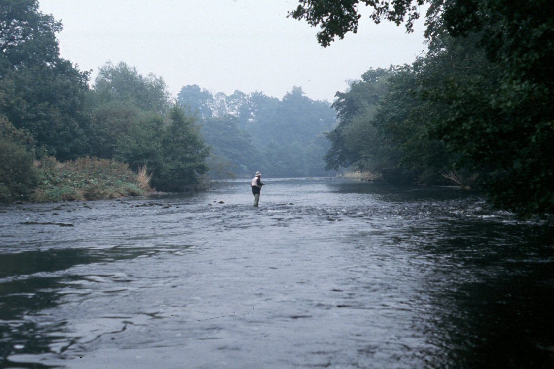 River Ure