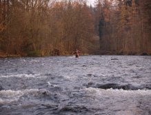 Jizera u městečka Semily