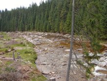 Horní Jizera nedaleko obce Kořenov