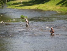 Muškařské závody na Divoké Orlici