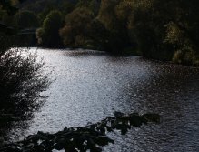 Otava v obci Čepice