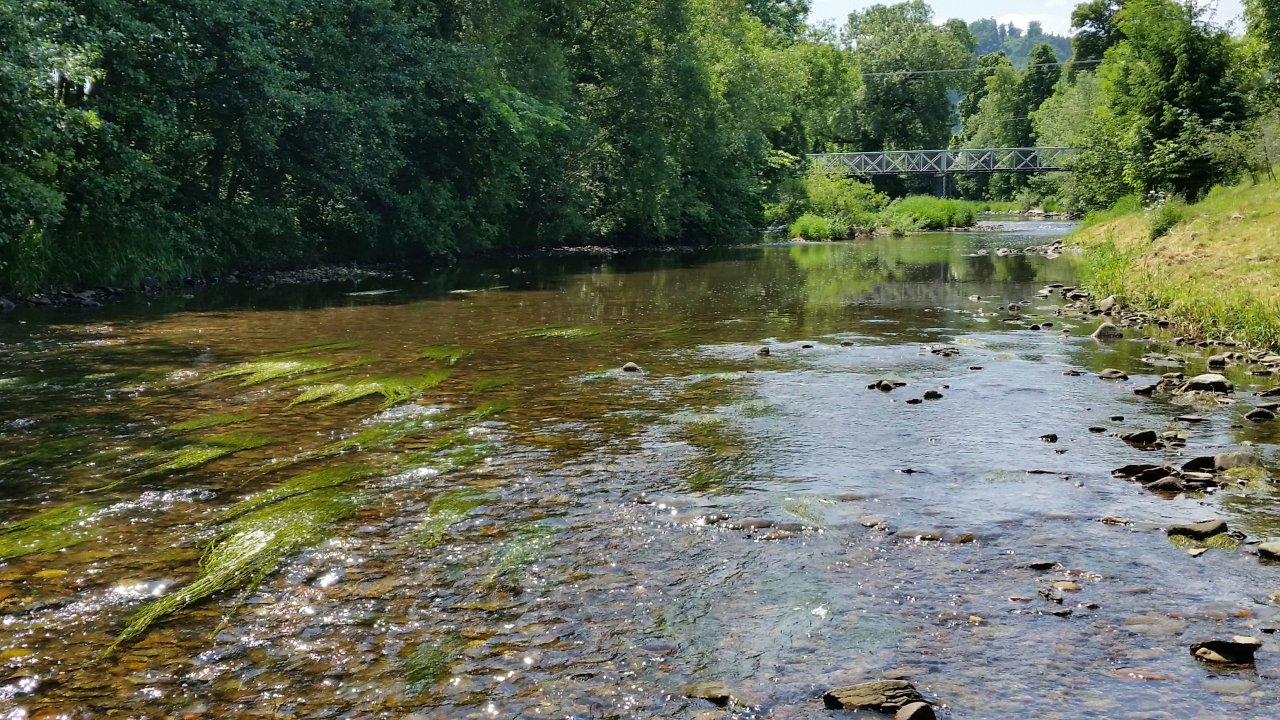 Divok� Orlice v Z�m�li