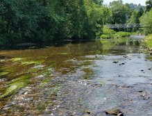 Divoká Orlice v Záměli