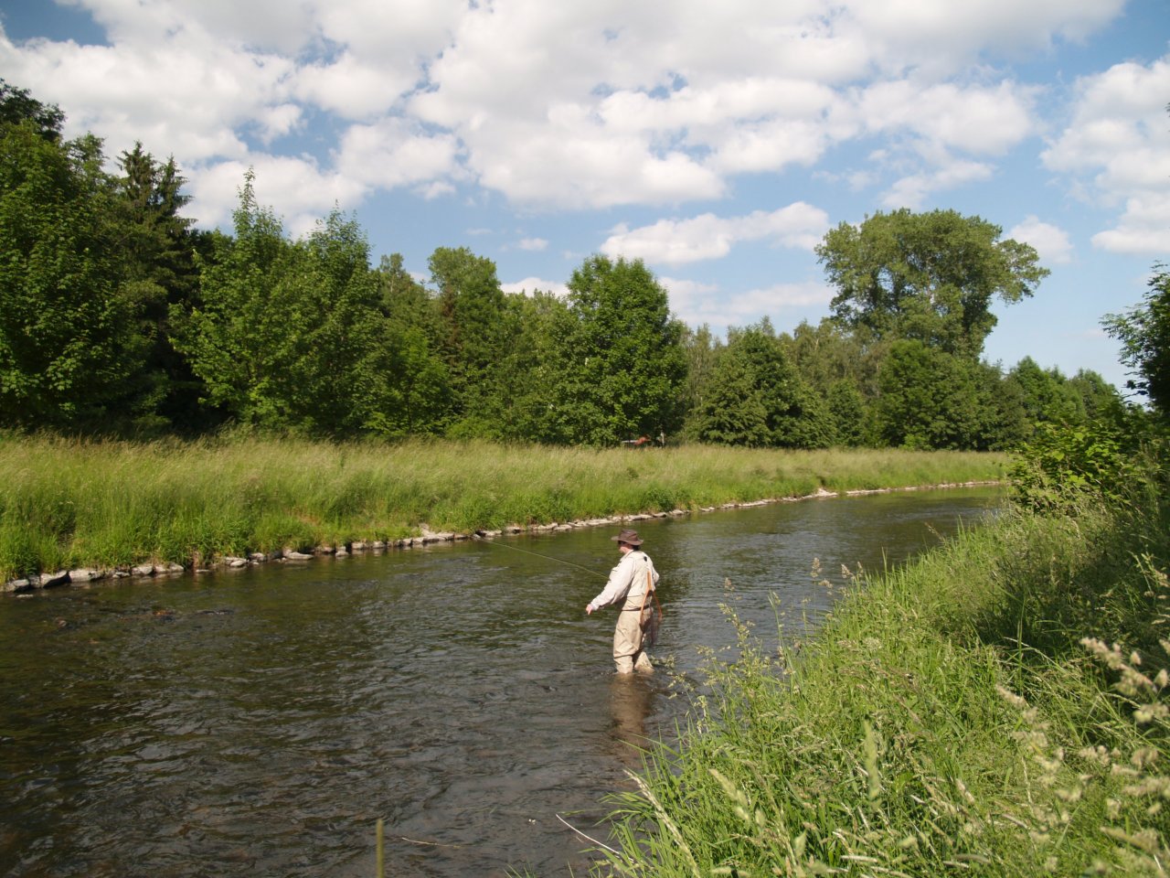 Divok� Orlice pod Doudleby