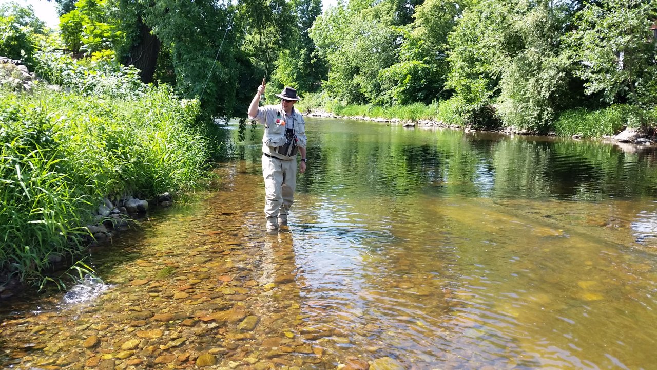 I mal� ryba na sucho pot��