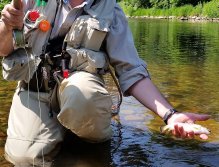 Mistr K. s úlovkem sivena