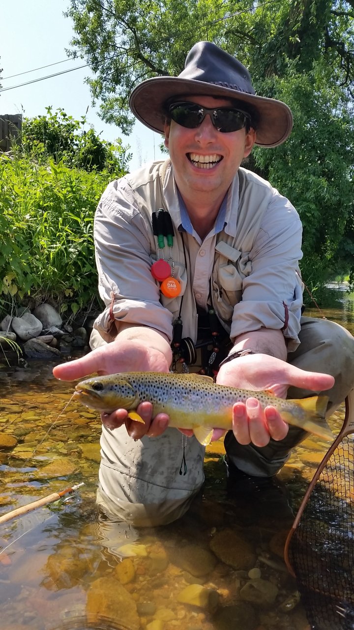 V�t�� ryba, v�t�� �sm�v