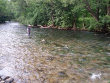 Muškaření na horní Revúce