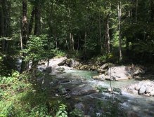 Muškaření v oblasti Trentino