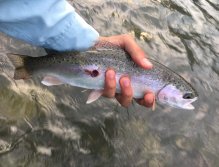 Muškaření v oblasti Trentino