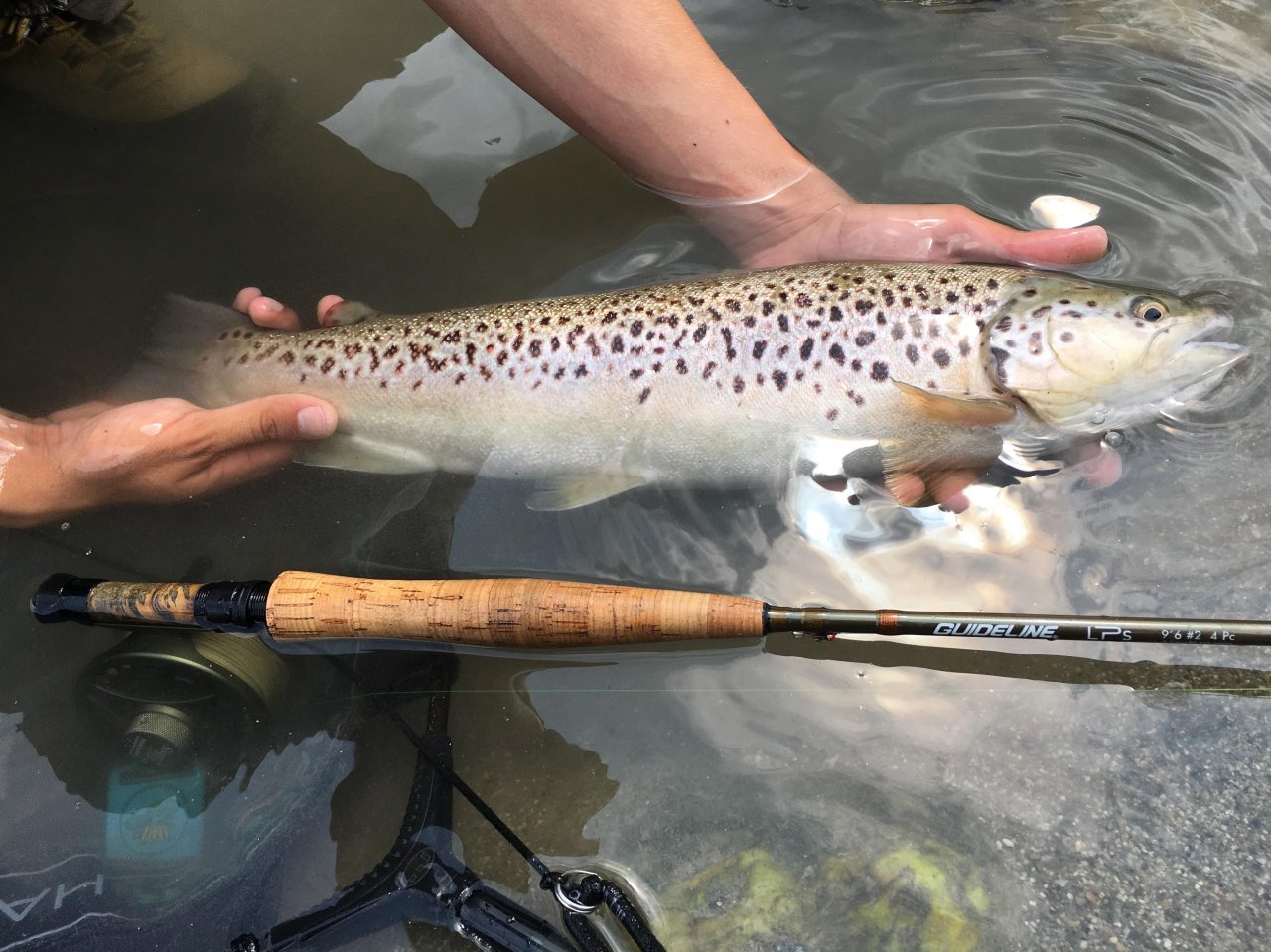 Mu�ka�en� v oblasti Trentino