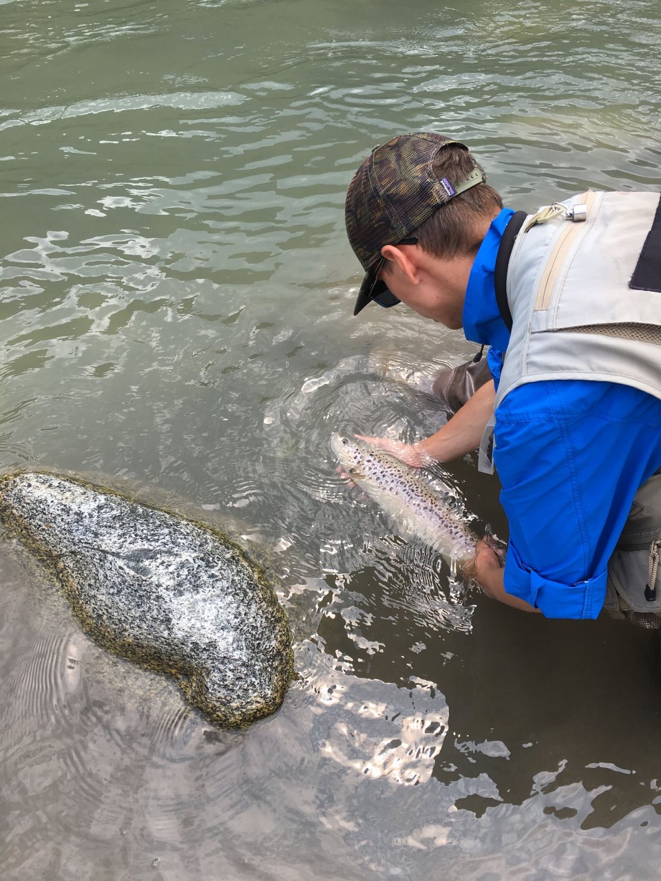 Mu�ka�en� v oblasti Trentino