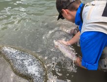 Muškaření v oblasti Trentino