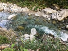 Muškaření v oblasti Trentino