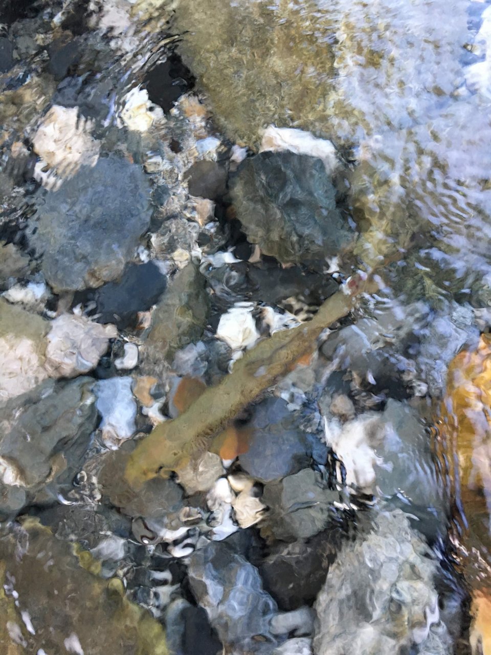 Mu�ka�en� v oblasti Trentino