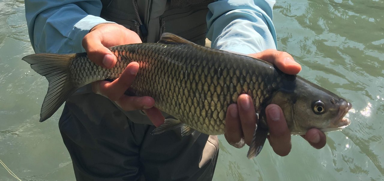 Mu�ka�en� v oblasti Trentino