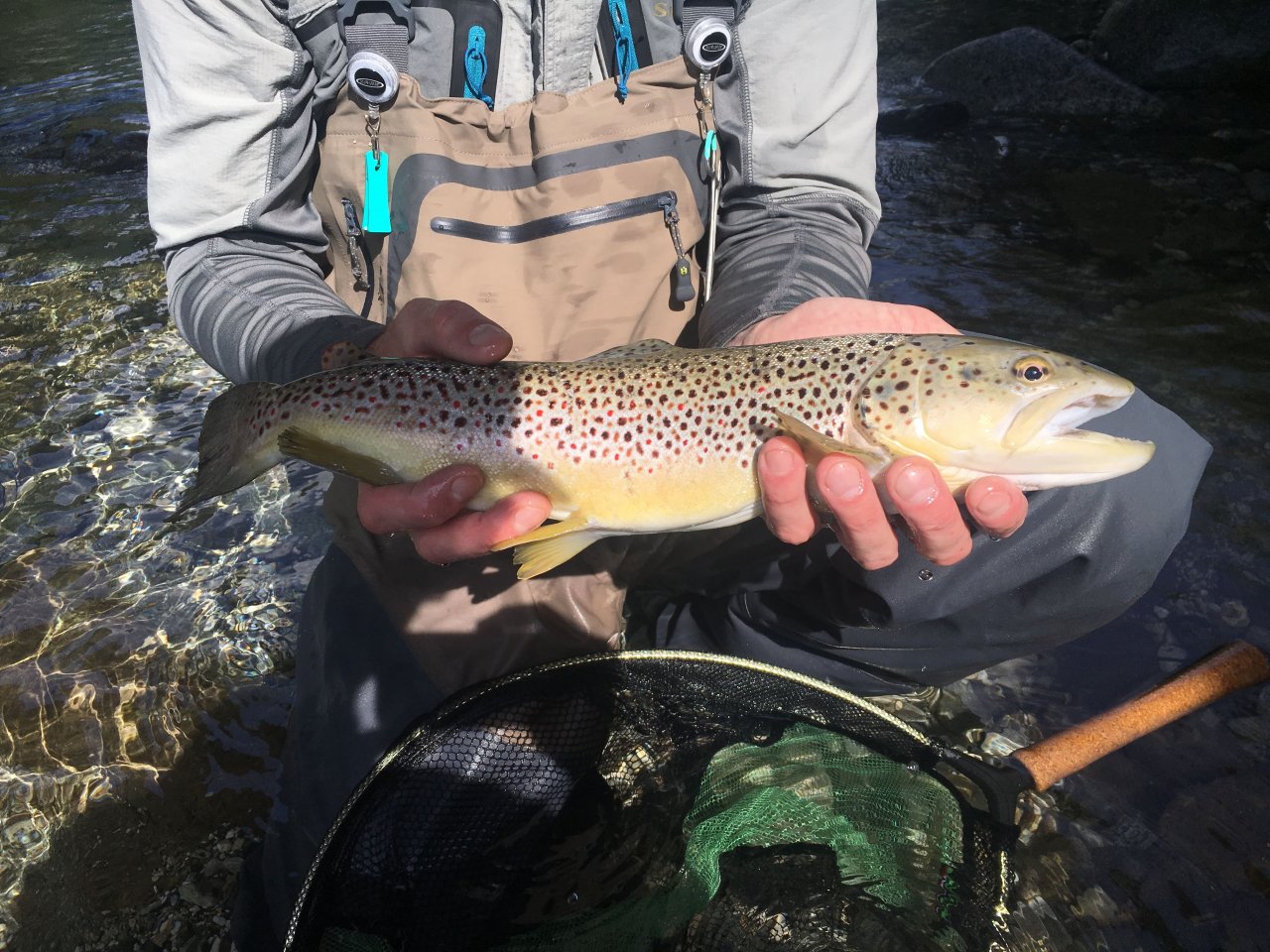 Mu�ka�en� v oblasti Trentino