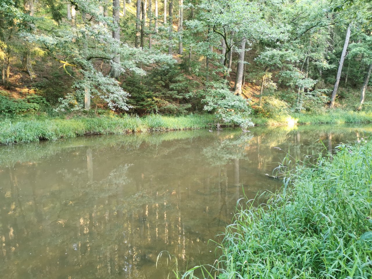 Hejlovka pod Sv�pravicemi