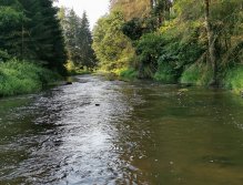 Hejlovka pod Svépravicemi