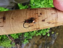 Úspěšná tungstenová nymfa