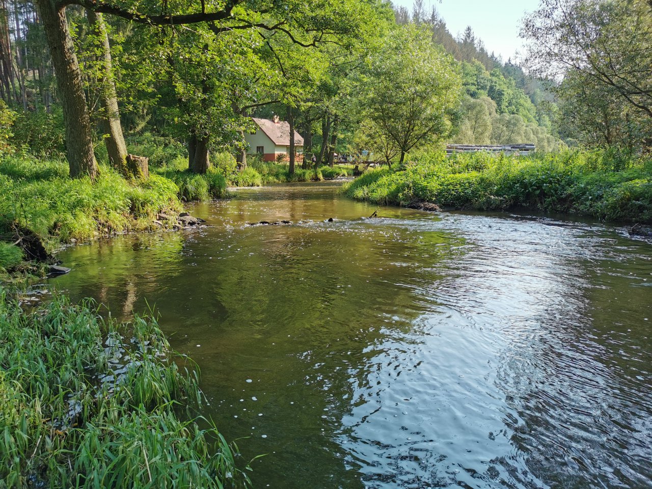 Hejlovka pod Sv�pravicemi