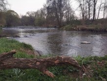 Muškaření na Radbuze v Chotěšově