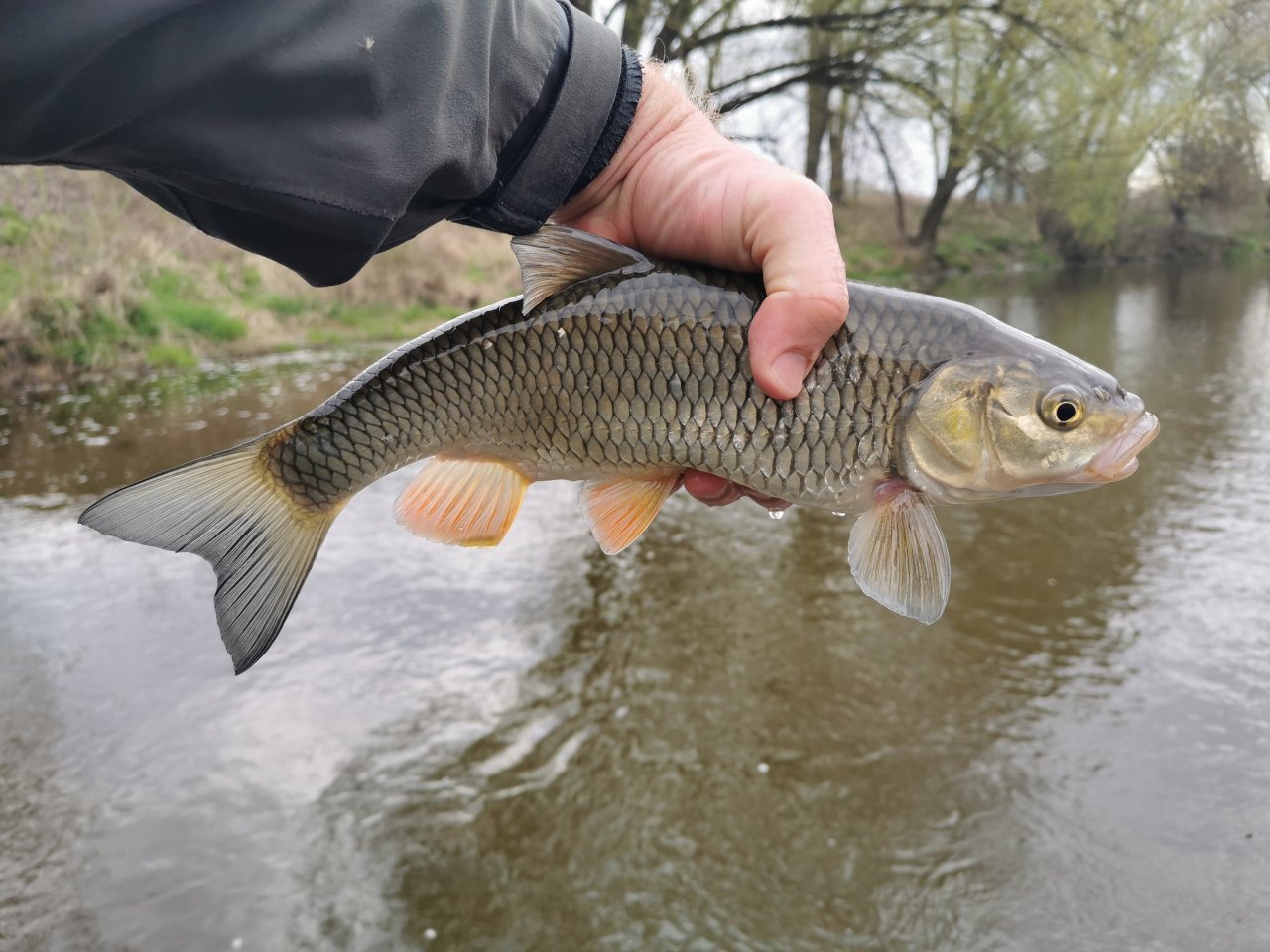 Mu�ka�en� na Radbuze v Chot�ov�