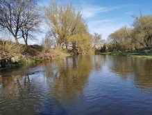 Muškaření na Radbuze v Chotěšově