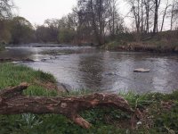 Mukaen na Radbuze v Chotov