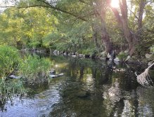 Litávka u Mlýnského potoka