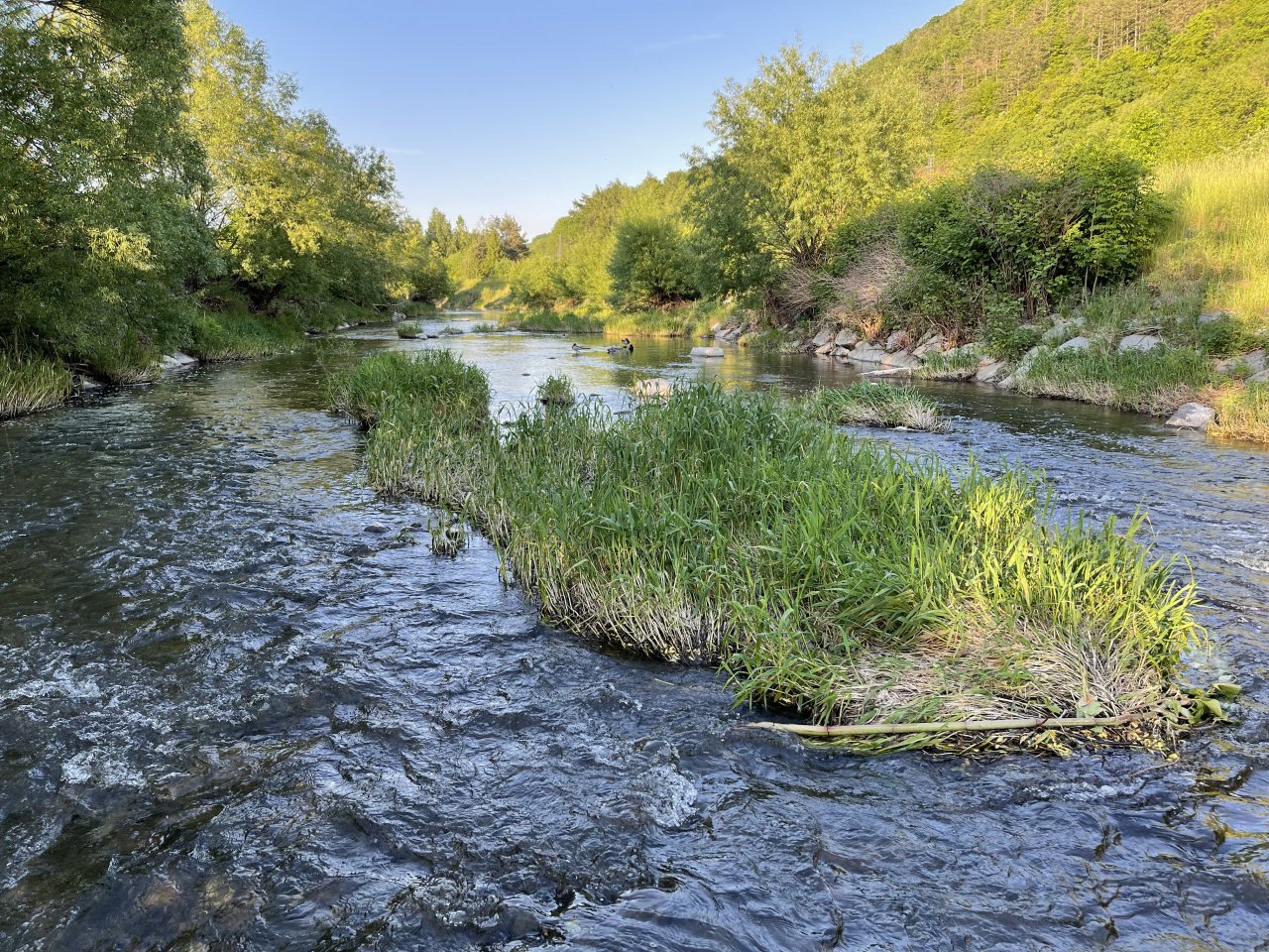 Lit�vka u Ml�nsk�ho potoka