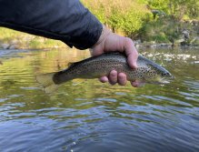 Litávka u Mlýnského potoka