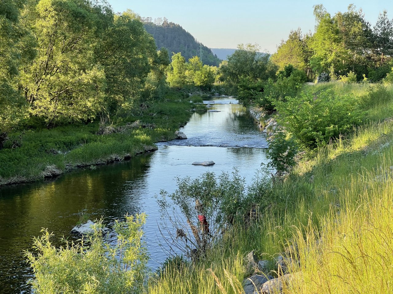 Lit�vka u Ml�nsk�ho potoka