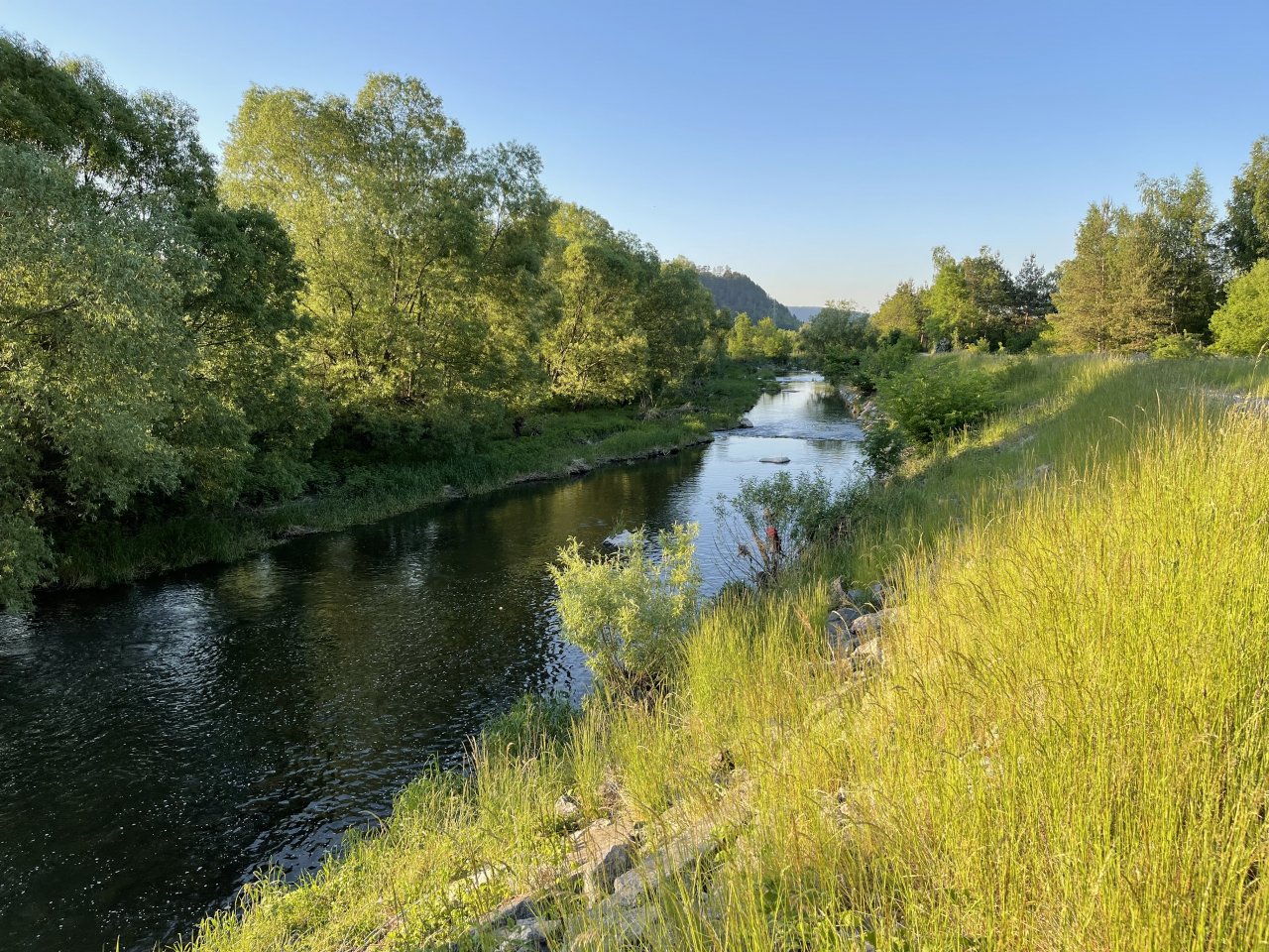 Lit�vka u Ml�nsk�ho potoka