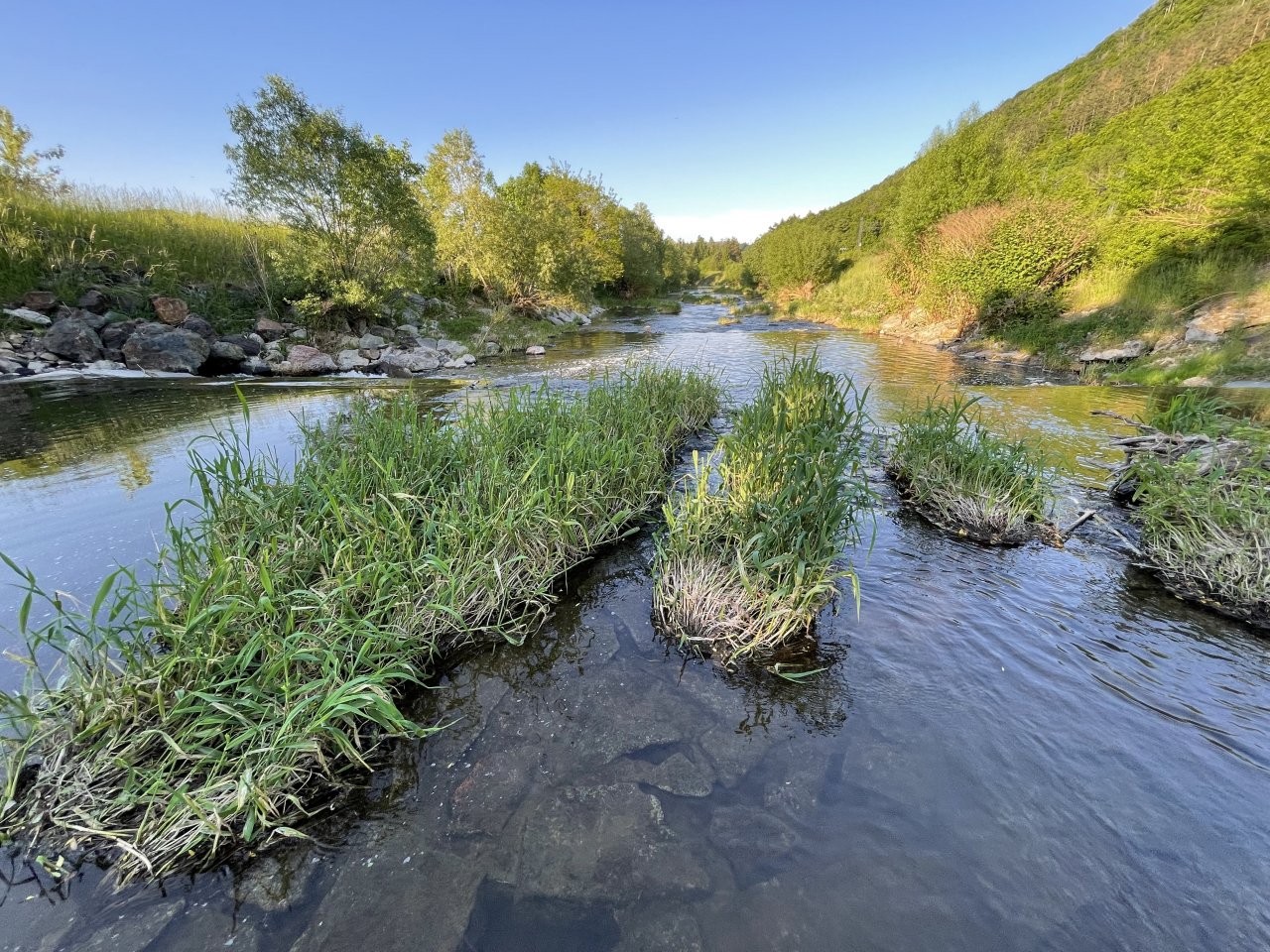 Lit�vka u Ml�nsk�ho potoka