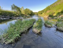 Litávka u Mlýnského potoka