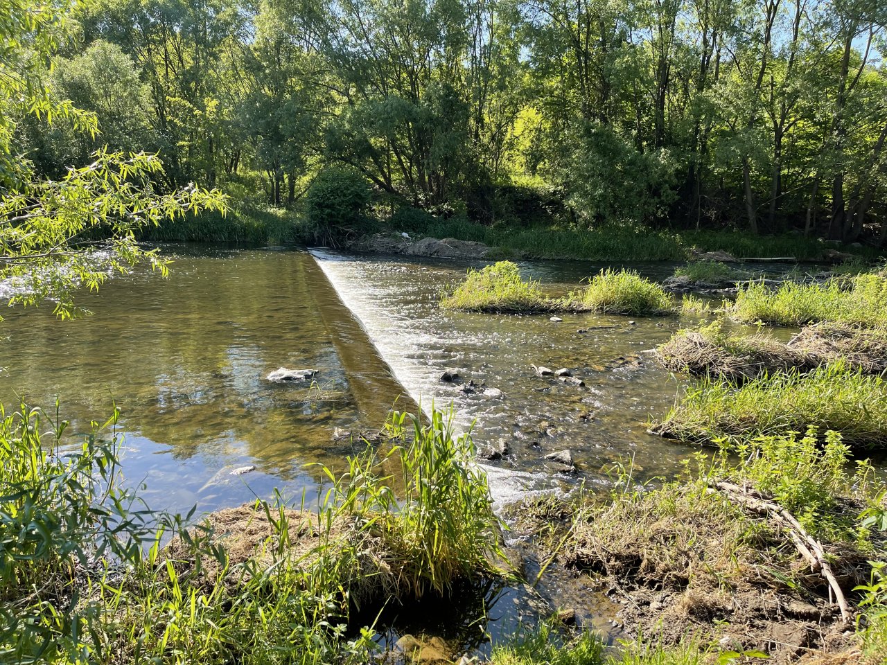 Lit�vka u Ml�nsk�ho potoka