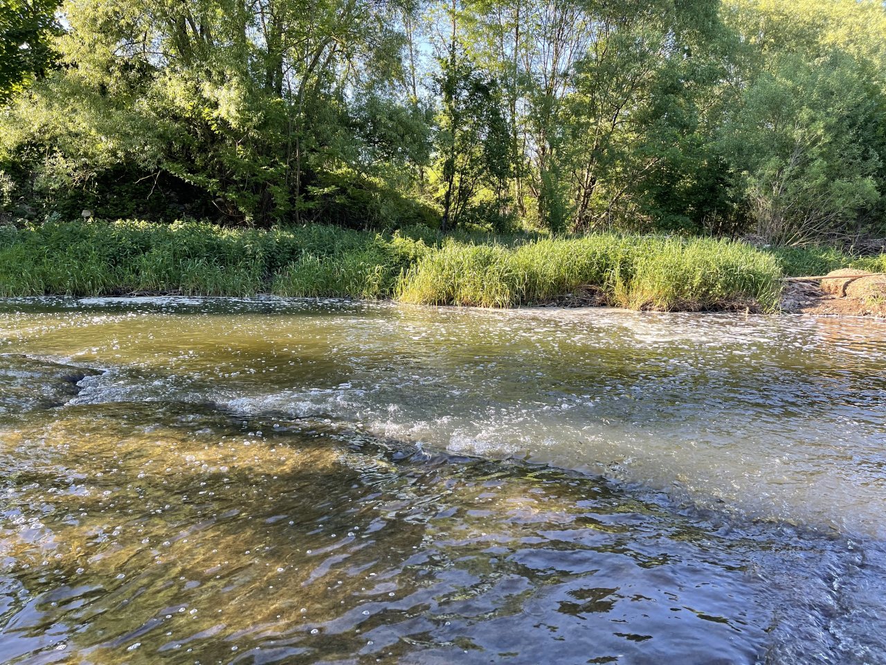 Lit�vka u Ml�nsk�ho potoka