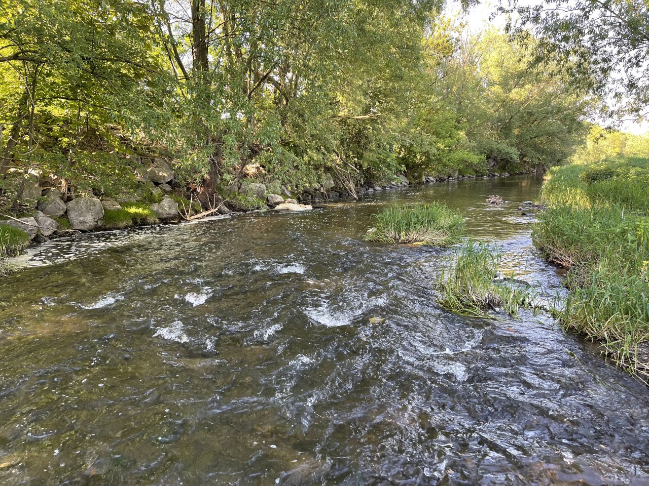 Lit�vka u Ml�nsk�ho potoka