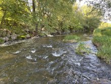 Litávka u Mlýnského potoka