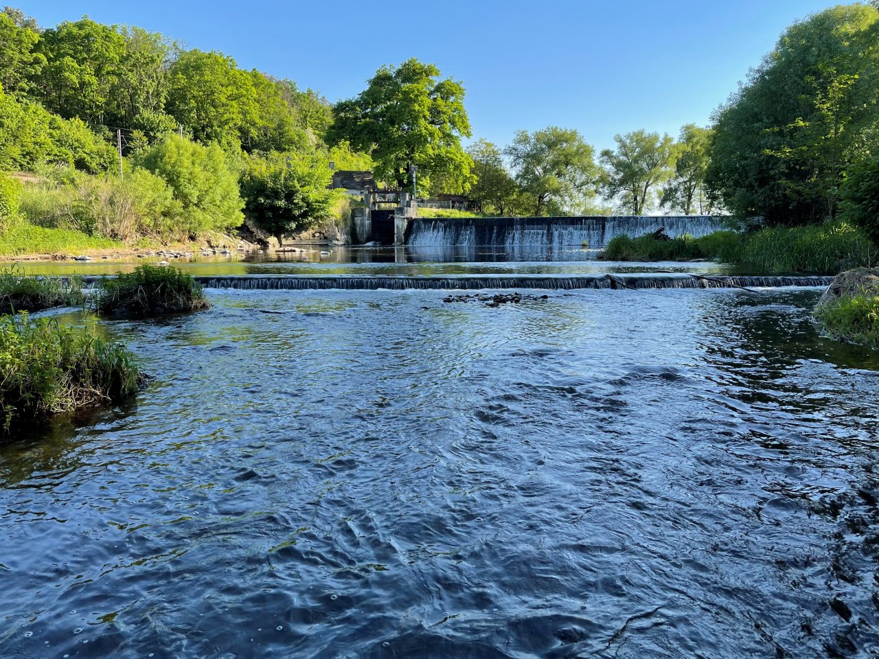 Lit�vka u Ml�nsk�ho potoka